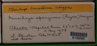 Image Associated With the Occurence